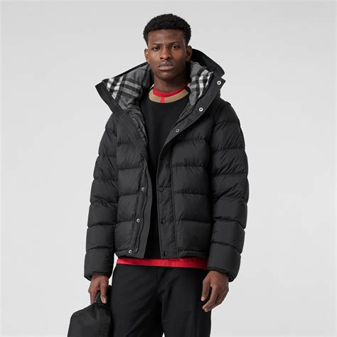 burberry jacket mens puffer